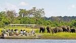 Chobe National Park Day Trip from Victoria Falls