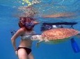Florida Keys Eco, Paddle, and Snorkel Tour