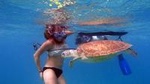 Florida Keys Eco, Paddle, and Snorkel Tour