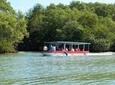 Damas Island by Boat Tour From Manuel Antonio