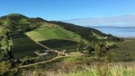 Waiheke Island Vineyards & Bush Walk