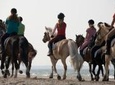 Horseback Riding Tour from Cancun and Playa del Carmen
