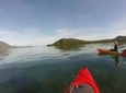 Kayak Turtle Tour from Palm Cove