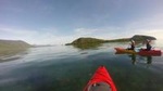 Kayak Turtle Tour from Palm Cove