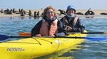 Kayaking and Sandwich Habour Guided Day Tour from Walvis Bay