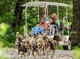 Kennel Tour and Dog Sled Ride