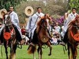 Pachacamac & Peruvian Paso Horse Show