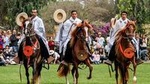 Pachacamac & Peruvian Paso Horse Show