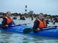 Pelican Point Kayaking Half-Day Tour