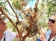 Exceptional Port Lincoln, Seafood and Wildlife Tour