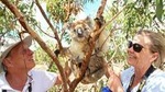 Exceptional Port Lincoln, Seafood and Wildlife Tour