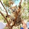 Exceptional Port Lincoln, Seafood and Wildlife Tour