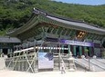 Private Group Day Trip to Seongmodo Island and Ganghwa Island