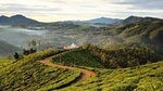 Hike to Single Tree Hill in Nuwara Eliya