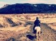 Private Horse Riding Tour of Lake Hafravatn from Reykjavik