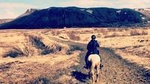 Private Horse Riding Tour of Lake Hafravatn from Reykjavik