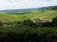 Full-day Private Burgundy Wine Route Tour from Beaune