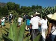 Pulque Ranch Day Trip in Tepotzotlan