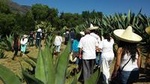 Pulque Ranch Day Trip in Tepotzotlan