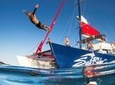 Snorkel, Lunch & Sail.