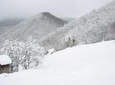 Samobor and NP Zumberak Priavet Winter Hike from Zagreb