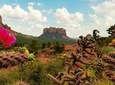 Sedona Day Trip from Phoenix