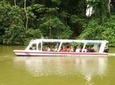 Tortuguero Canal Eco Cruise and Banana Plantation Shore Excursion from Limon