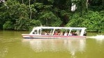 Tortuguero Canal Eco Cruise and Banana Plantation Shore Excursion from Limon