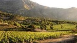 Small-Group Maipo Vineyards Full-Day Experience with Optional Lunch
