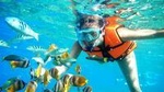 Coral Reef Snorkeling with lunch and roundtrip transportation in Puerto Morelos