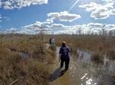 Everglades Swamp Walk with a Naturalist and Ten Thousand Islands Boat Tour