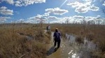 Everglades Swamp Walk with a Naturalist and Ten Thousand Islands Boat Tour