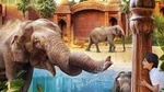 Terra Natura Benidorm Entrance Ticket