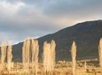 Turkish Villages and Local Life from Izmir