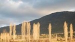Turkish Villages and Local Life from Izmir