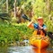 Wekiva River Kayak Tour