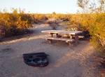 Camp at Cottonwood Campground (Joshua Tree), California