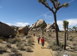 Hike Cap Rock Nature Trail, Joshua Tree National Park, California