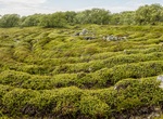 See Stone Labyrinths of Bolshoi Zayatsky Island, Russia