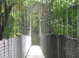 Arenal Hanging Bridges Nature Tour