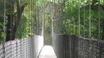 Arenal Hanging Bridges Nature Tour