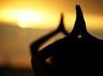 Beach and Sunset Yoga on Waikiki Oceanfront with Diamondhead Backdrop