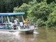 Full-Day Caño Negro Wildlife Refuge Boat Tour