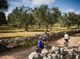 Cycling Across Salento: Capo di Leuca 4-Hour Bike Tour