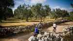 Cycling Across Salento: Capo di Leuca 4-Hour Bike Tour