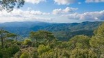 Jeep Safari to Troodos Mountains and Kykkos Monastery from Paphos
