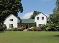 Kiambethu Tea Farm Tour & Lunch From Nairobi