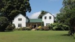 Kiambethu Tea Farm Tour & Lunch From Nairobi