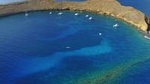 Molokini Crater Zodiak Adventure Snorkel & Turtle Cove Swim 