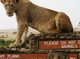 Nairobi National Park, Giraffe Center and Elephant Orphanage Day Tour from Nairobi
